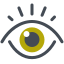 feature icon